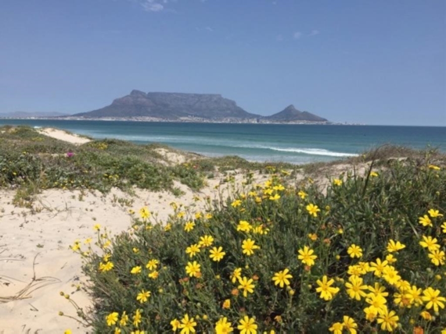 3 Bedroom Property for Sale in Sunset Beach Western Cape